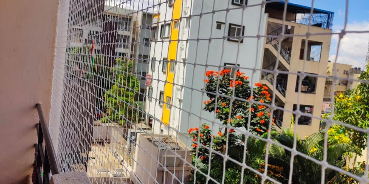 Pigeon Netting Service