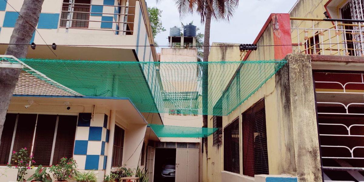 Coconut Tree Safety Nets